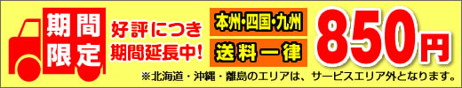 期間限定